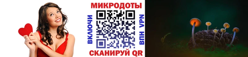 Псилоцибиновые грибы Psilocybine cubensis  сколько стоит  Тогучин 