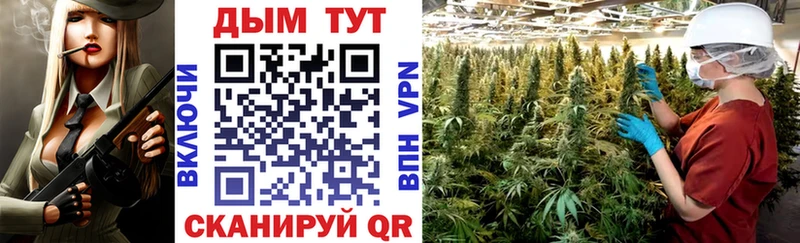 как найти наркотики  Тогучин  Конопля ГИДРОПОН 